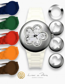 Coffret Montre Interchangeable