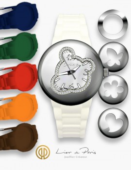 Coffret Montre Interchangeable