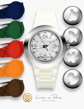 Coffret Montre Interchangeable